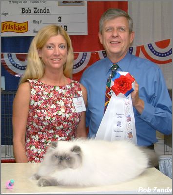 Jetset Tennessee Walker of  Purrpals